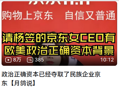 bilibili视频，标题为 “政治正确资本已经多去了民族企业京东”